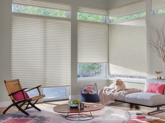 Pet- and child-friendly Window Shades New Jersey
