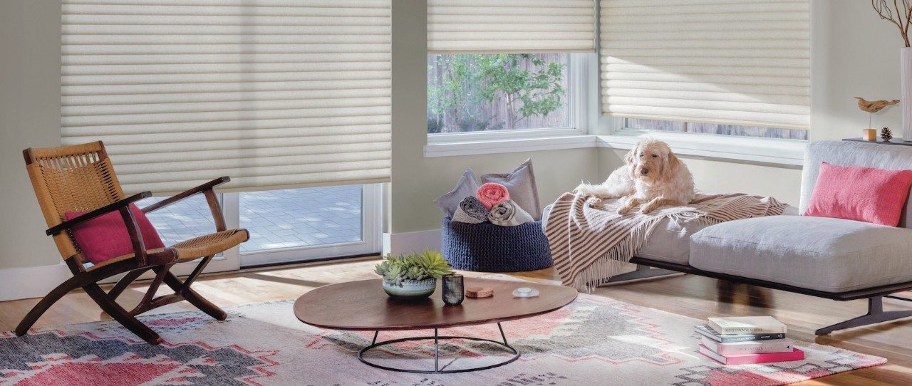 Pet-friendly Window Shades and Blinds in New Jersey