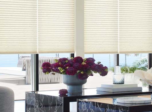 Duette Cellular Shades